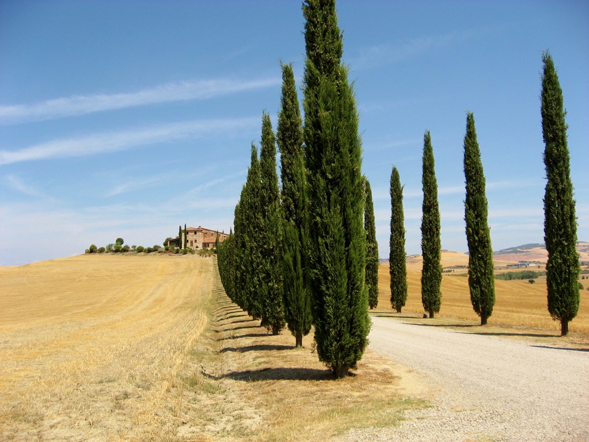 Poggio Covili countryside, Val d’Orcia · Tuscan countryside inspiration