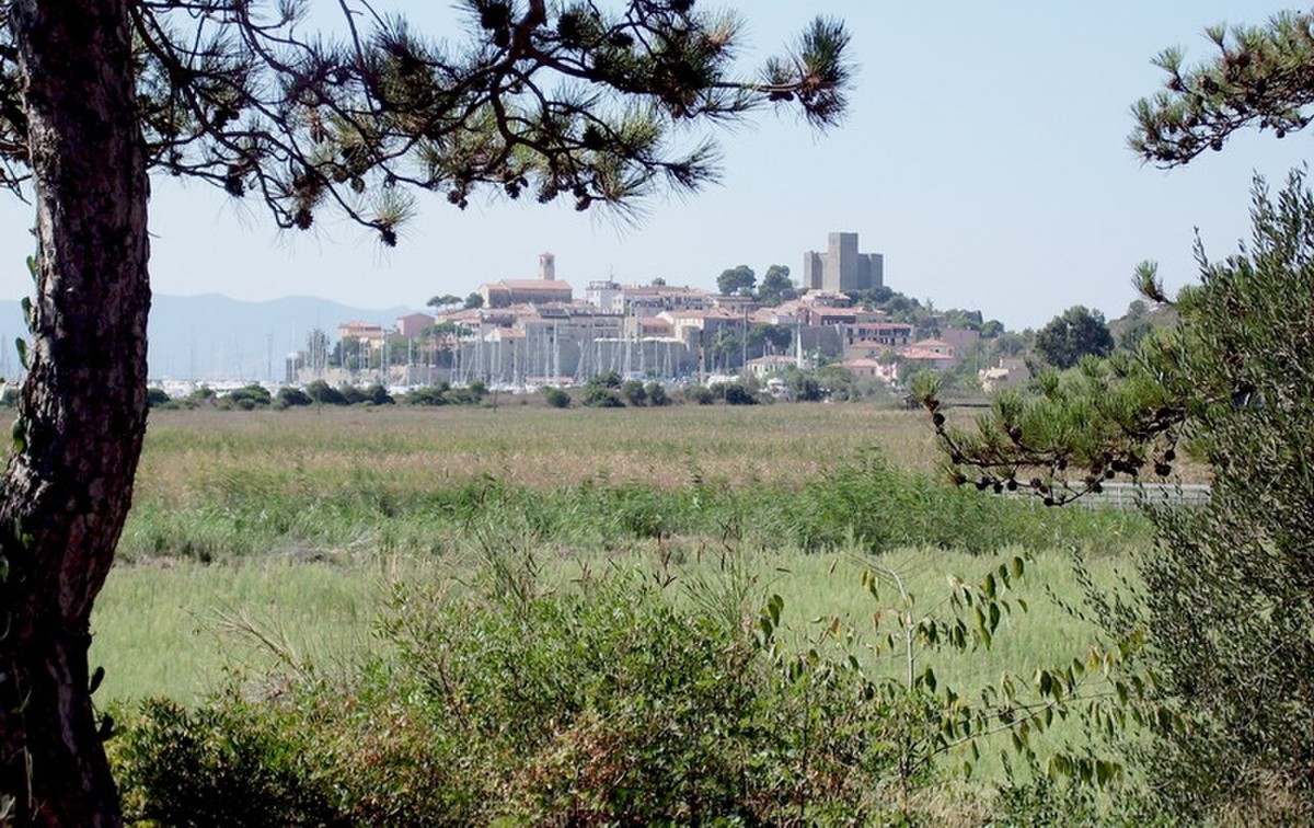 Talamone and its gulf